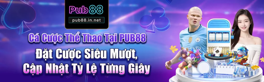 pub88.in.net