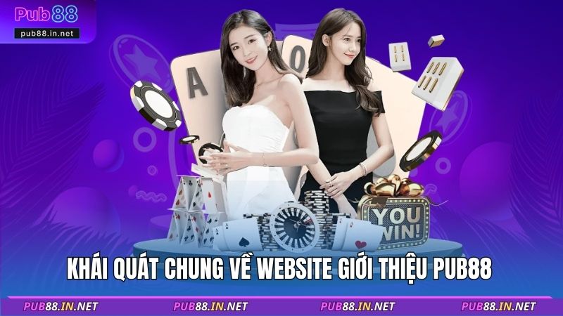 Khái quát chung về website giới thiệu PUB88 